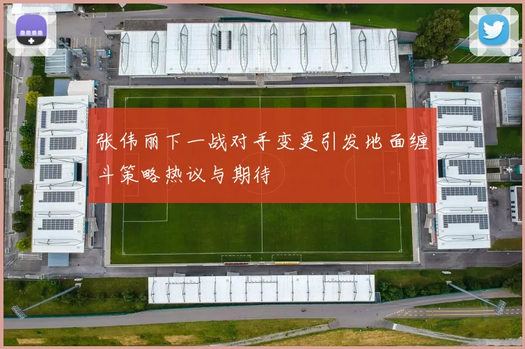 张伟丽下一战对手变更引发地面缠斗策略热议与期待